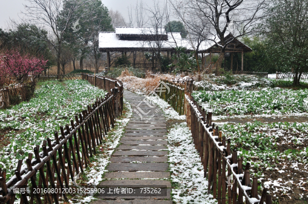 杭州西溪濕地雪景