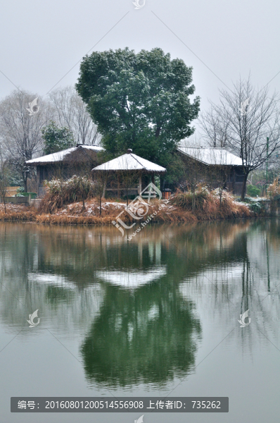 杭州西溪濕地雪景