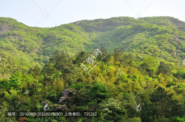杭州余杭鸕鳥山風(fēng)光