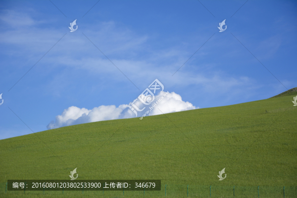 藍(lán)天綠地