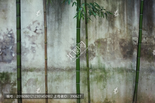 翠竹墻壁