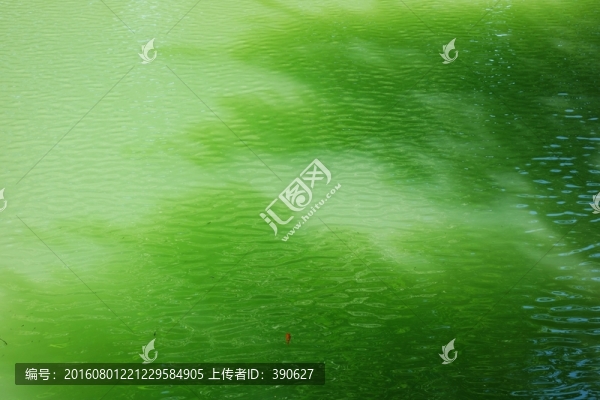 水波紋