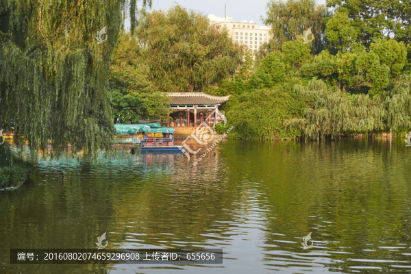 翠湖公園一角