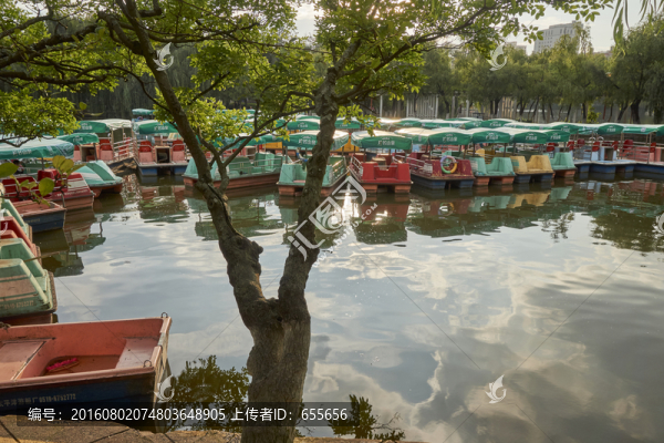 公園游船