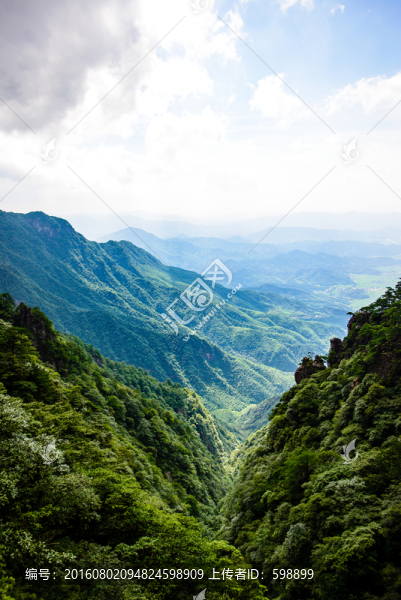 青翠山谷