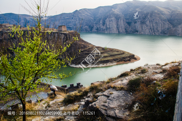 樹林,黃河