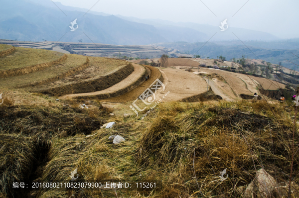 耕地黃土高原
