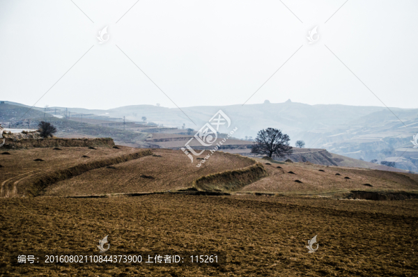 耕地黃土高原