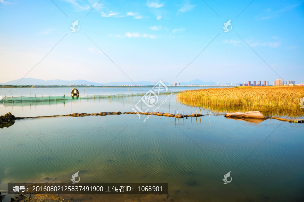 潮汐湖