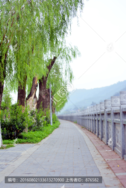 公園小路