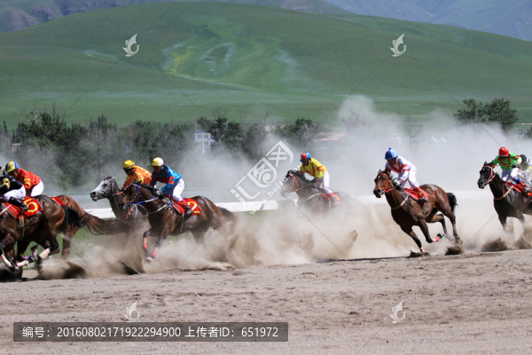 速度賽馬