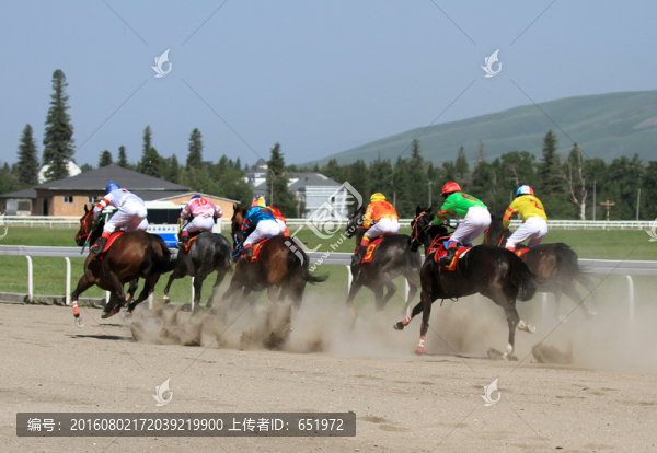 速度賽馬