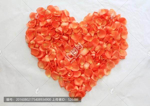 心形玫瑰花瓣