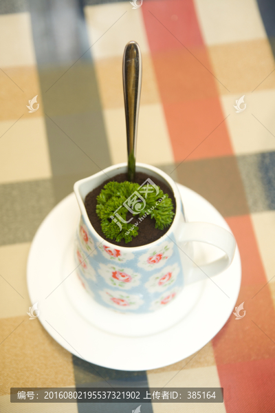 玫瑰后花園