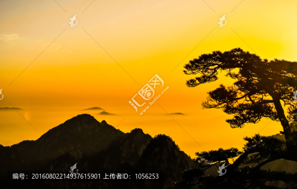 黃山