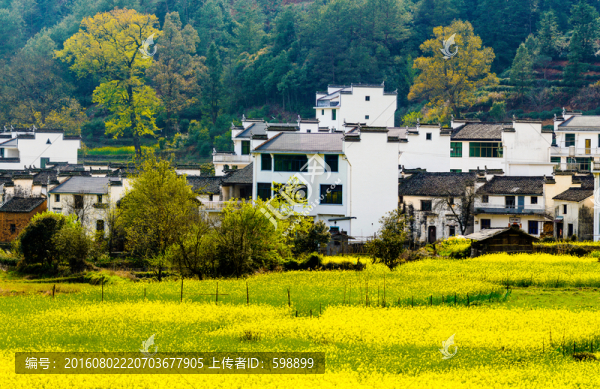 田園春色