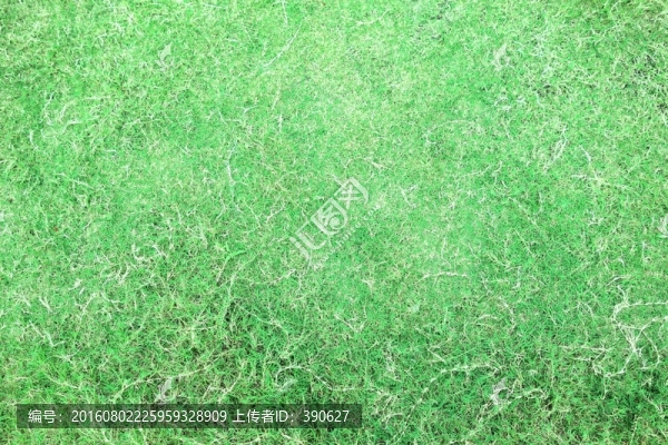 草地