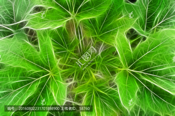 電腦畫,植物
