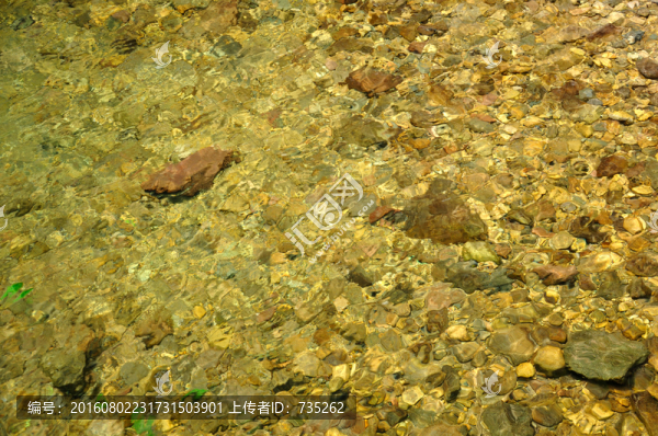 安吉龍王山溪水