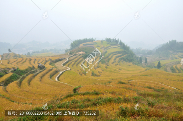 麗水云和梯田風(fēng)光