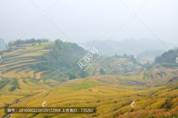 麗水云和梯田風(fēng)光
