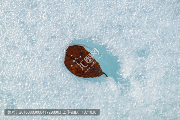 初春的河