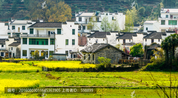 婺源鄉(xiāng)村春天