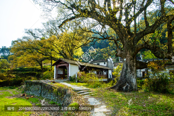 鄉(xiāng)村小路