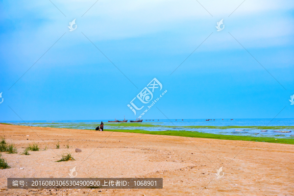 海灘,漁船,滸苔
