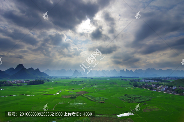 綠色田野