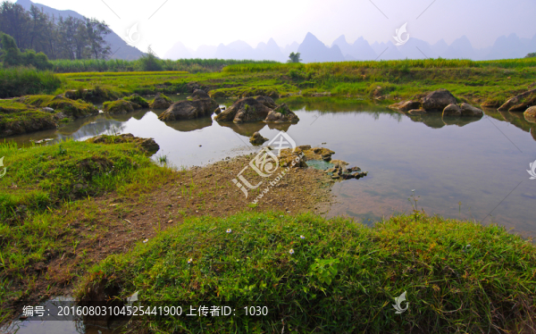 小溪,河水