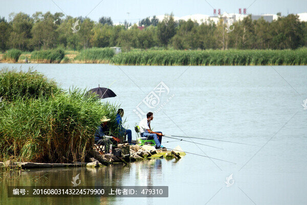 釣魚,垂釣,湖面,湖水,捕魚