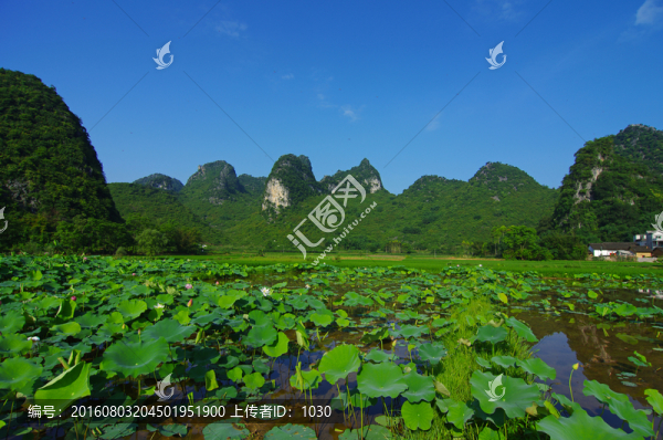 風(fēng)景