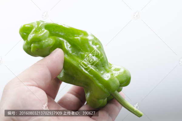 手里拿著一只青辣椒