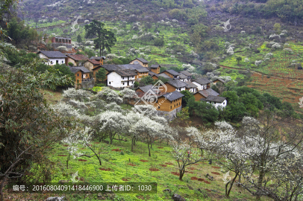 鄉(xiāng)村,風景