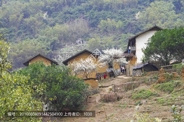 鄉(xiāng)村
