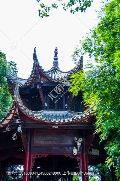 樂山風(fēng)光