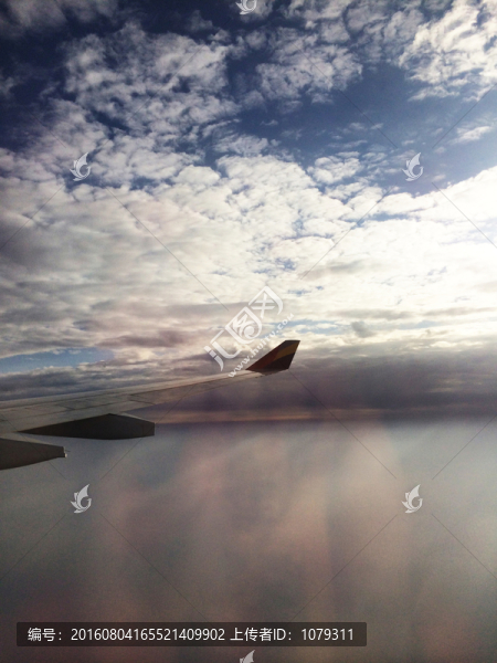 航空機(jī)翼