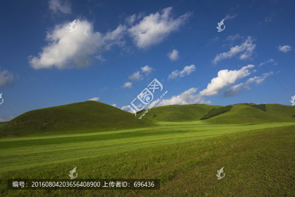 草原遠(yuǎn)景