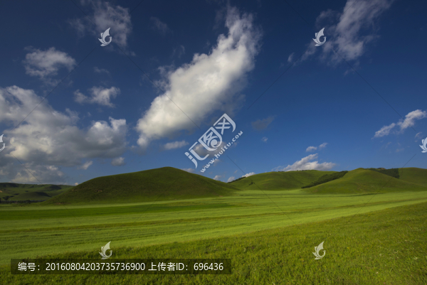 草原遠(yuǎn)景