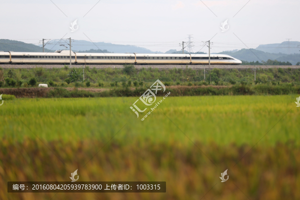 高鐵農(nóng)田風(fēng)光
