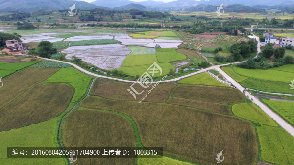 農(nóng)田風(fēng)光