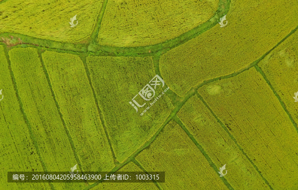 農(nóng)田風(fēng)光