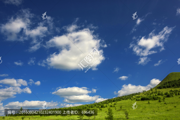 草原風(fēng)光