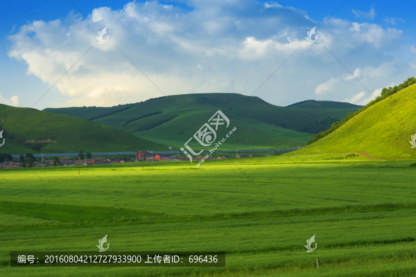 壩上風光,夏天