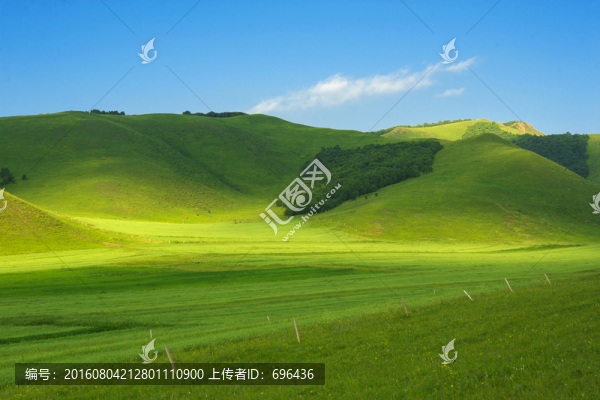 草原光影,光照