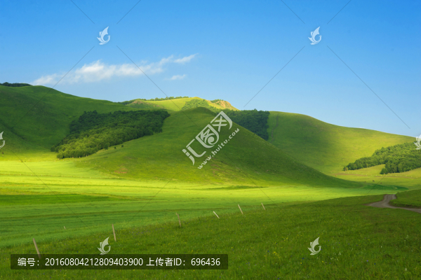 壩上山丘,夏天