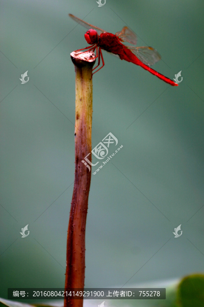 小息