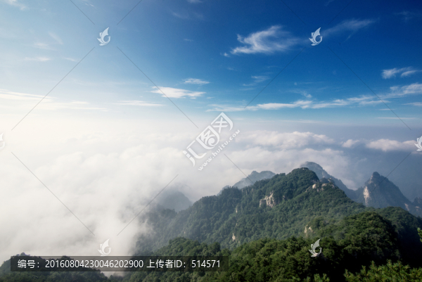 洛陽白云山云海