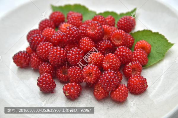 野生樹莓